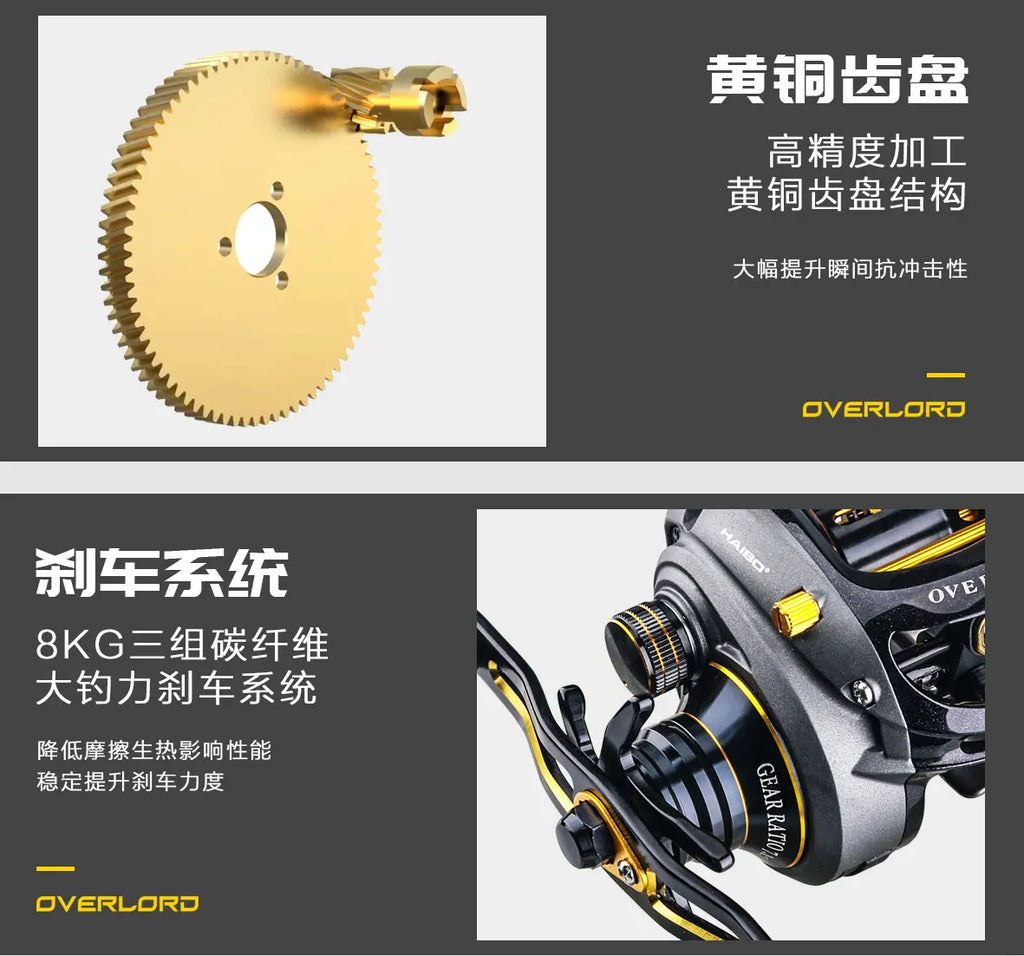 רולר דייג מקצועי