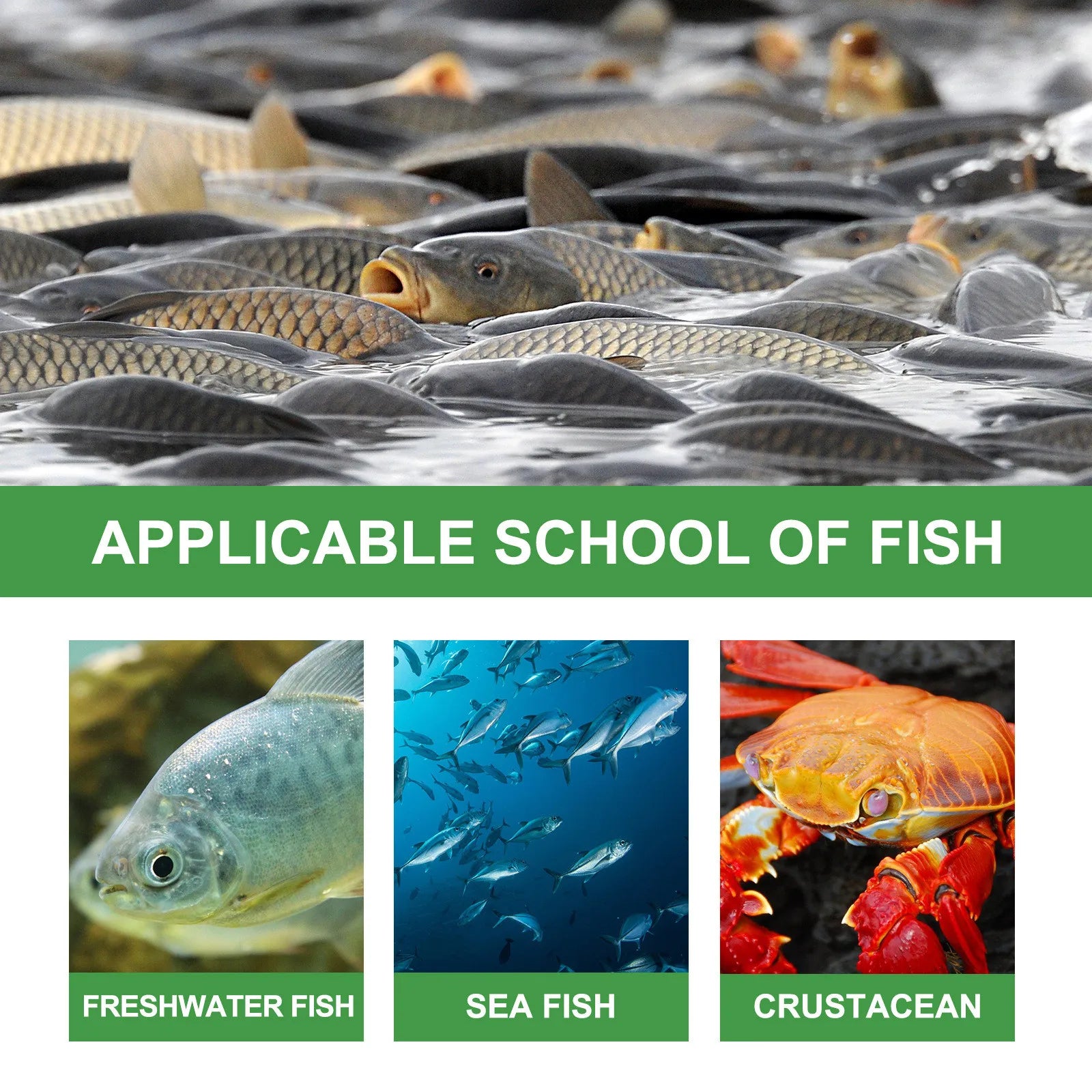 Fishing Baits Attractants 30ml Lures Liquid Attractant Natural Scent Drag For Sea River Freshwater Fish Effective Attract Fish