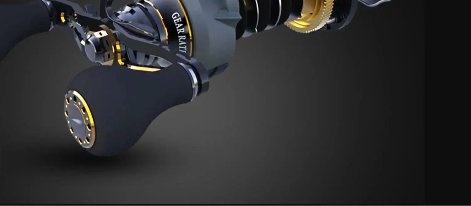 רולר דייג מקצועי