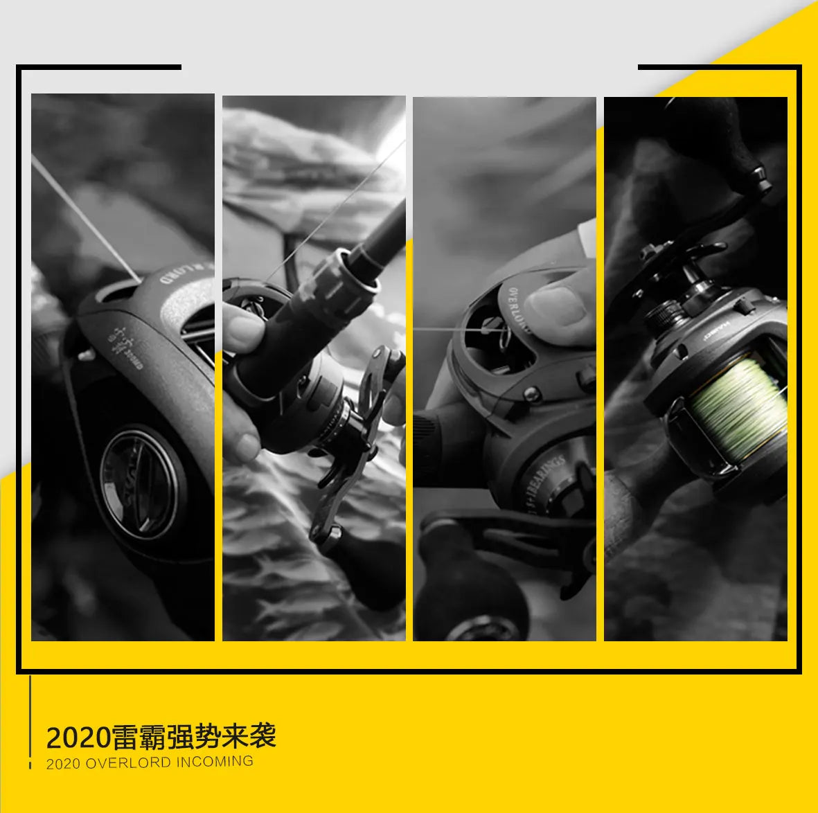 רולר דייג מקצועי